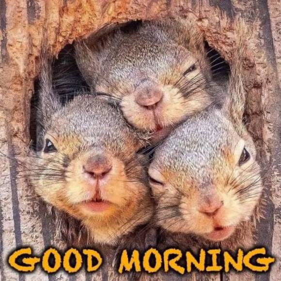 Meet your Posher, Mark - Picture 1 of 1